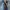 Balenciaga Luxury Avant Garde Jeans Pria blue photo 7
