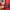 Vivienne Westwood Vintage Avant Garde Jeans Pria red photo 7