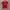 Nike Y2K Sportswear Jersey Pria red photo 1