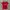 Nike Y2K Sportswear Jersey Pria Red