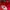 Casual Hat Pria black red photo 6