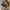 Eddie Bauer Vintage Parka Pria tan photo 5