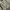 Eddie Bauer Vintage Parka Pria tan photo 4