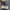 Reebok Streetwear Sneakers Pria purple yellow photo 5