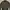 TBJ Nearby Casual Bomber Jacket Pria Khaki