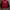 Feltics Casual Sweatshirt Pria black red photo 2
