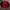 Feltics Casual Sweatshirt Pria black red photo 1
