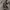 codes combine Casual Parka Pria khaki photo 5
