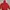 Sportswear Windbreaker Pria Red