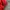 Casual Bomber jacket Pria red photo 6