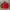 Casual Bomber jacket Pria red photo 2
