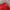 Casual Bomber jacket Pria red photo 5