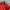 Casual Bomber jacket Pria red photo 3