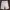 Dickies Streetwear Y2K Short Pria cream photo 2
