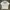 Casual T-shirt Pria white photo 2