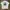 Casual T-shirt Pria white photo 1