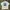 Casual T-shirt Pria White