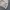 Umbro Vintage Streetwear Hoody Pria cream tan photo 2