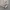 Nike Vintage Streetwear Hoody Pria gray photo 3