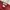 Vintage Casual Casual trouser Wanita burgundy red photo 2