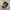 Chase Nascar Streetwear Biker Hat Pria yellow black photo 1