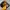 Chase Nascar Streetwear Biker Hat Pria Yellow Black