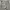 Streetwear Formal pants Pria gray photo 7