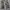 Streetwear Formal pants Pria multicolor photo 8