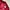 Casual Bomber jacket Pria burgundy red photo 5