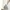 Y2K Crop top Wanita white photo 1