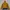 Descente Sportswear Windbreaker Wanita yellow photo 2