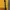 Descente Sportswear Windbreaker Wanita yellow photo 6