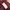 Hangten Casual Sweatshirt Pria burgundy photo 3