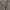 codes combine Biker Casual Bomber jacket Pria khaki photo 5