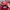 Starter Streetwear Sportswear Varsity jacket Pria multicolor photo 6