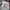 Starter Streetwear Sportswear Varsity jacket Pria multicolor photo 7