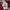 Starter Streetwear Sportswear Varsity jacket Pria multicolor photo 2