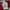 Starter Streetwear Sportswear Varsity Jacket Pria Multicolor