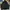 Starter Streetwear Sportswear Puffer jacket Pria multicolor photo 2