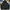 Starter Streetwear Sportswear Puffer jacket Pria multicolor photo 1