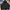 Starter Streetwear Sportswear Puffer Jacket Pria Multicolor