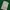 United Colors Of Benetton Streetwear Skater Polo Shirt Pria White