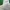 United Colors of Benetton Streetwear Skater Polo shirt Pria white photo 6