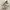 Adidas Emo Casual Casual shoe Pria white photo 2