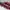 Coach Casual Shoulder bag Wanita burgundy photo 3