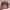 Coach Casual Shoulder Bag Wanita Burgundy