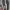 VANS Streetwear Skater Sneakers Pria white black photo 4