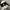 VANS Streetwear Skater Sneakers Pria white black photo 1