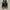 Adidas Skater Casual Casual shoe Pria black photo 2