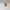 Von Dutch Streetwear Casual Hat Wanita gold photo 1